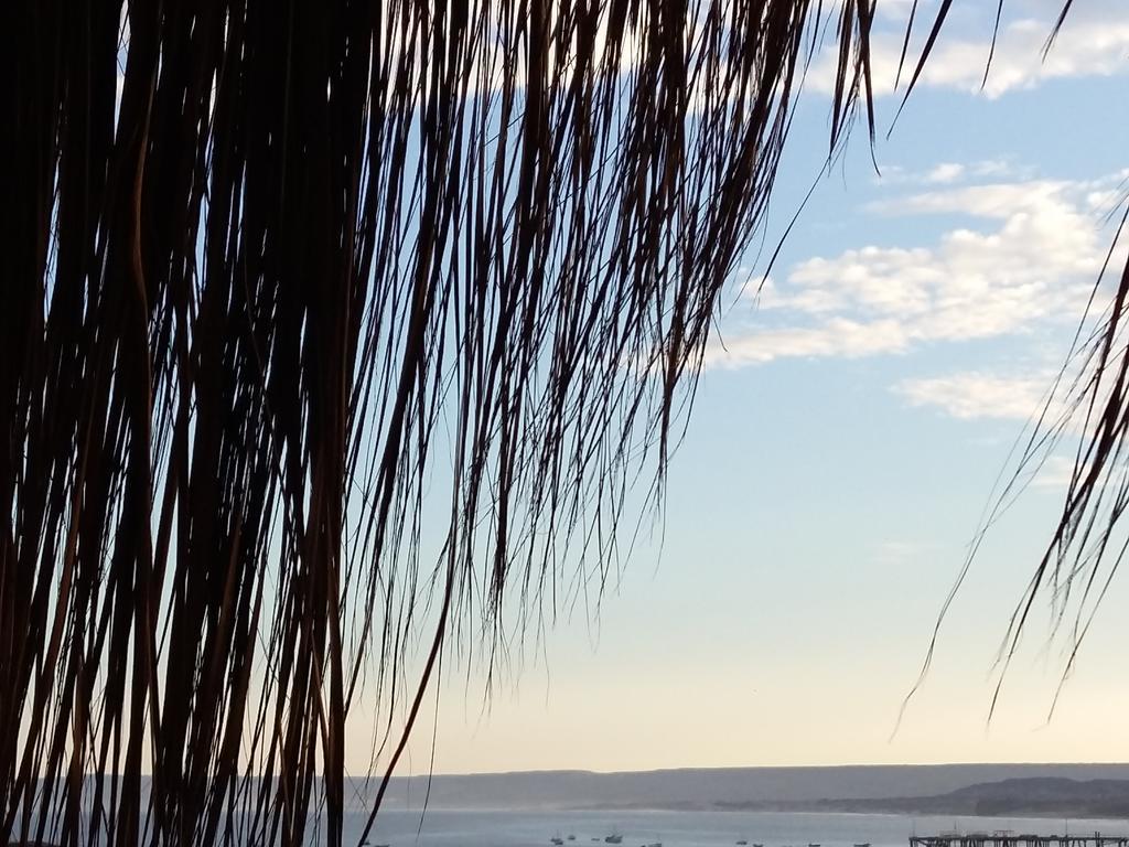 Lapa Lapa Lobitos Bungalows Hotel Eksteriør billede