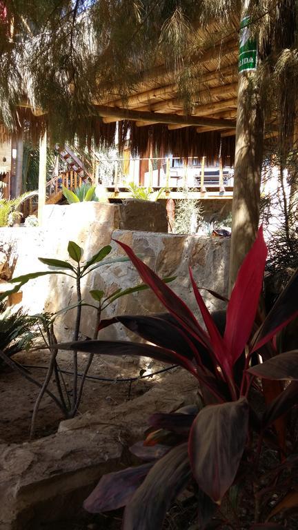 Lapa Lapa Lobitos Bungalows Hotel Eksteriør billede