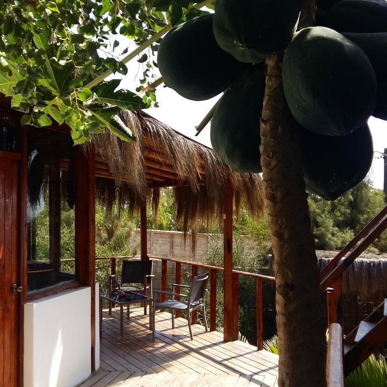 Lapa Lapa Lobitos Bungalows Hotel Eksteriør billede